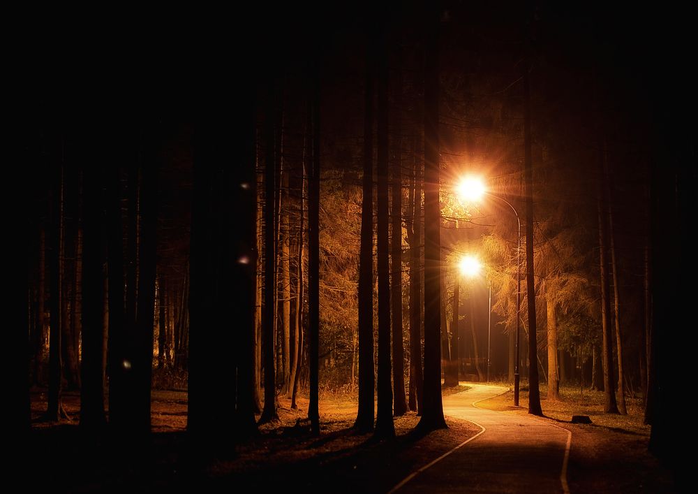 Photograph by Полина Хрол