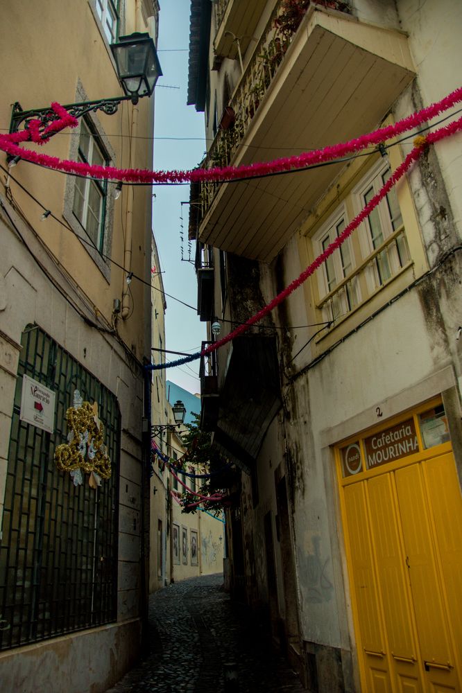 Фотография автора Gabriel de Araujo Almeida