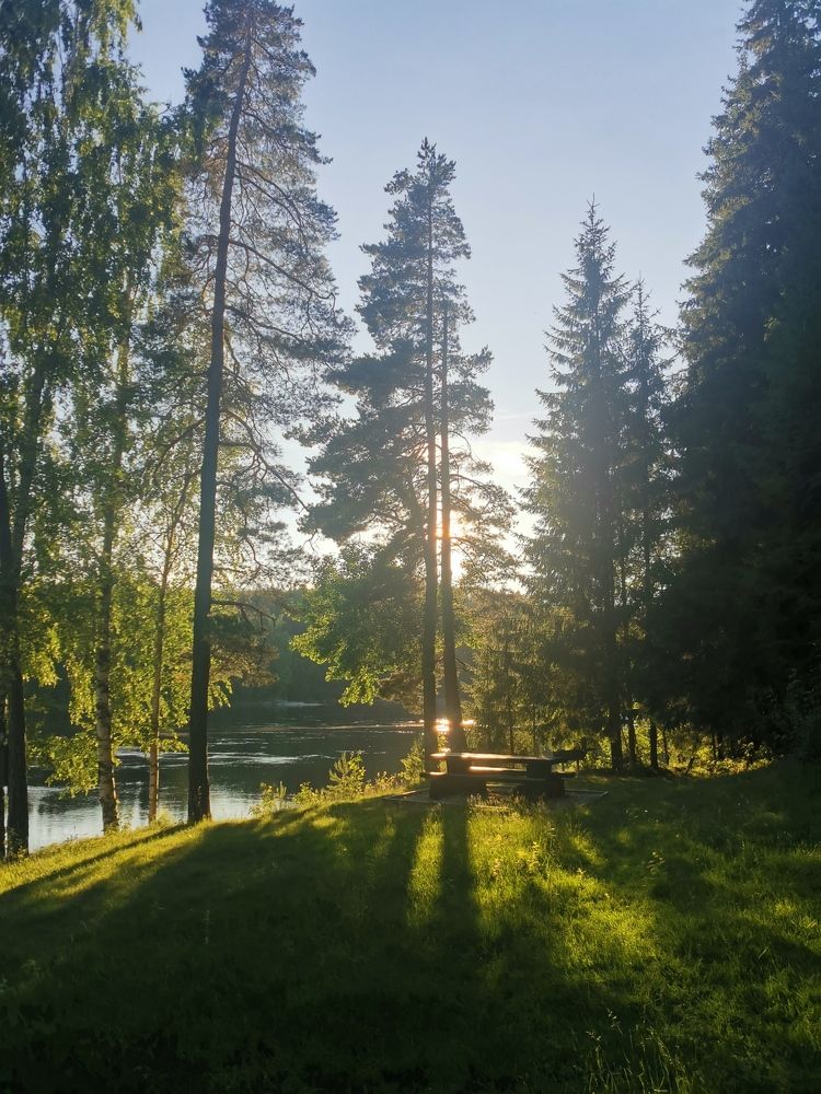 Фотография автора Alex