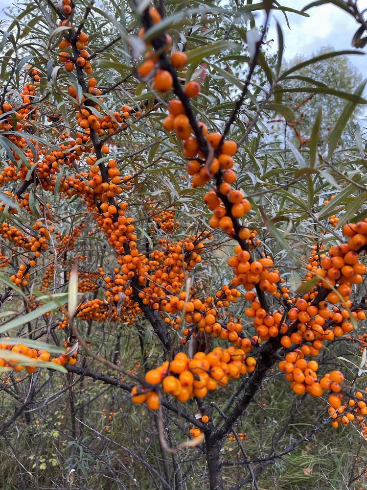 Photograph by Nadezda