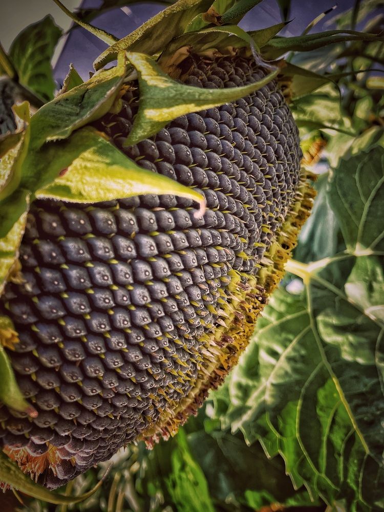 Photograph by Alexandr Shcherbakov