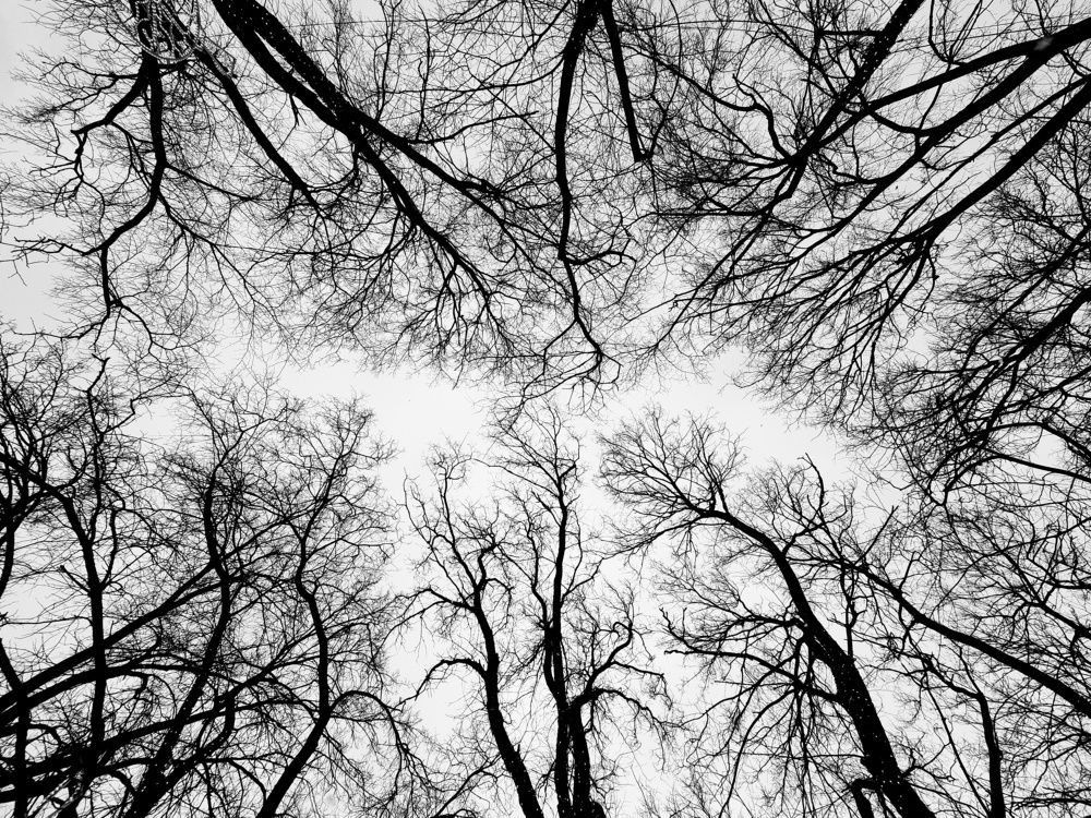 Photograph by Сергей Кесаев