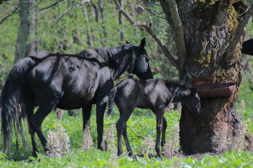 Photograph by Ирина Шибитова