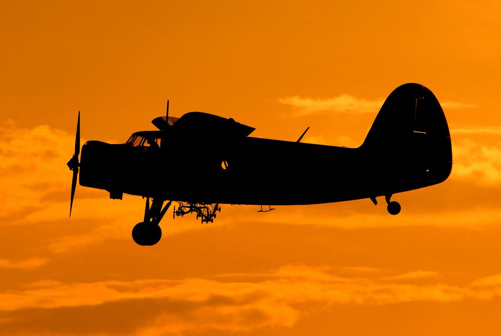 Фотография автора Faller Tamás