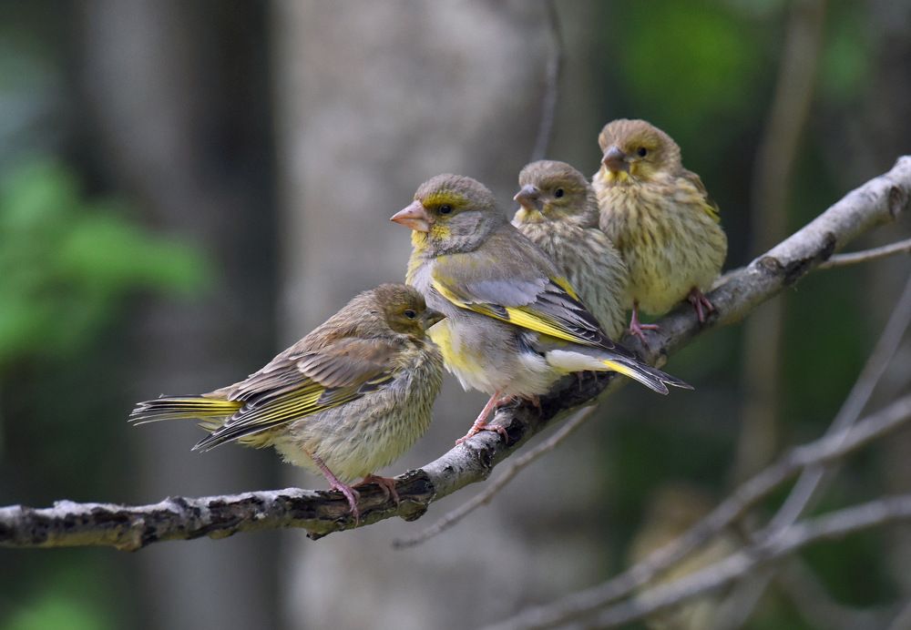 Photograph by Татьяна Спицына