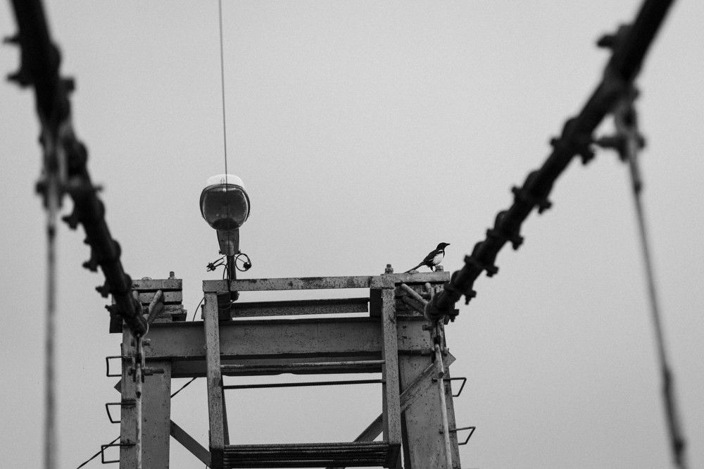 Photograph by ИРЕНА Цурпал