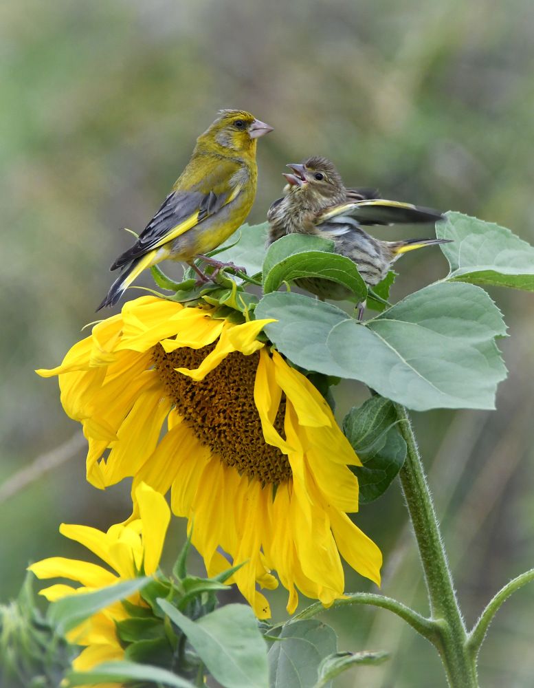 Photograph by Татьяна Спицына