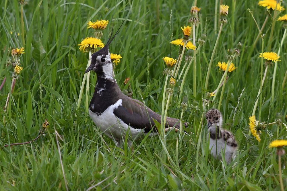 Photograph by Татьяна Спицына