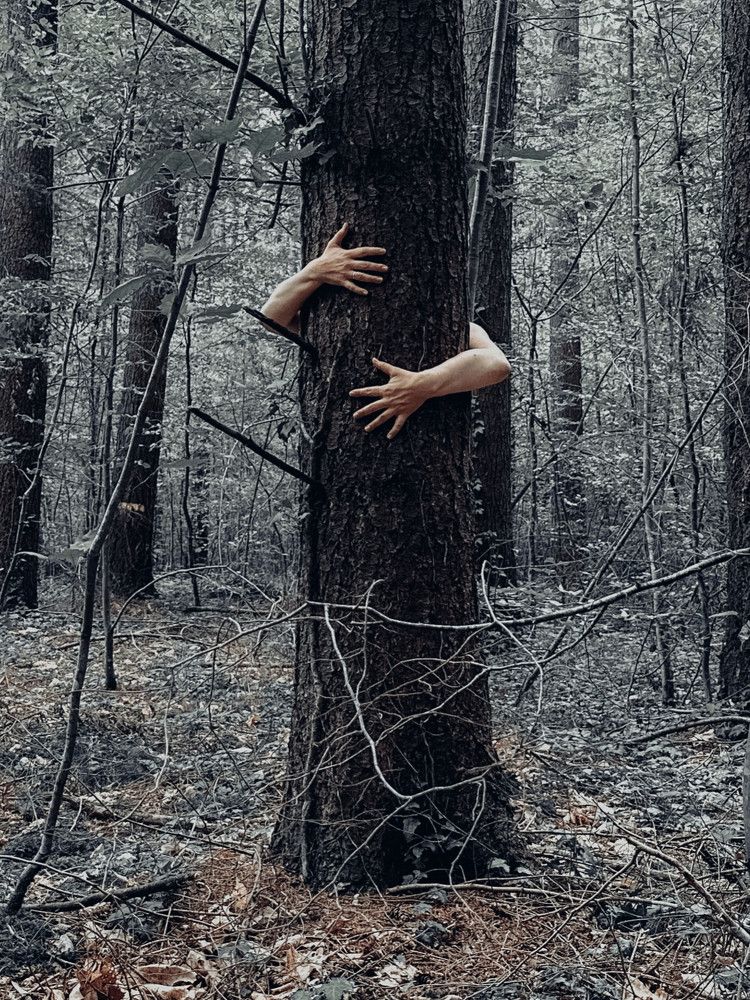 Photograph by Ольга Ревина
