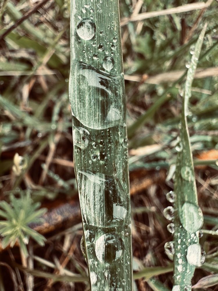 Photograph by Ольга Дрюк