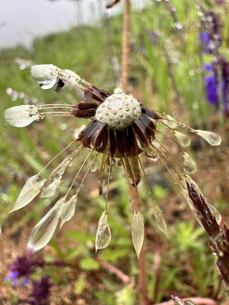 Photograph by Ольга Дрюк