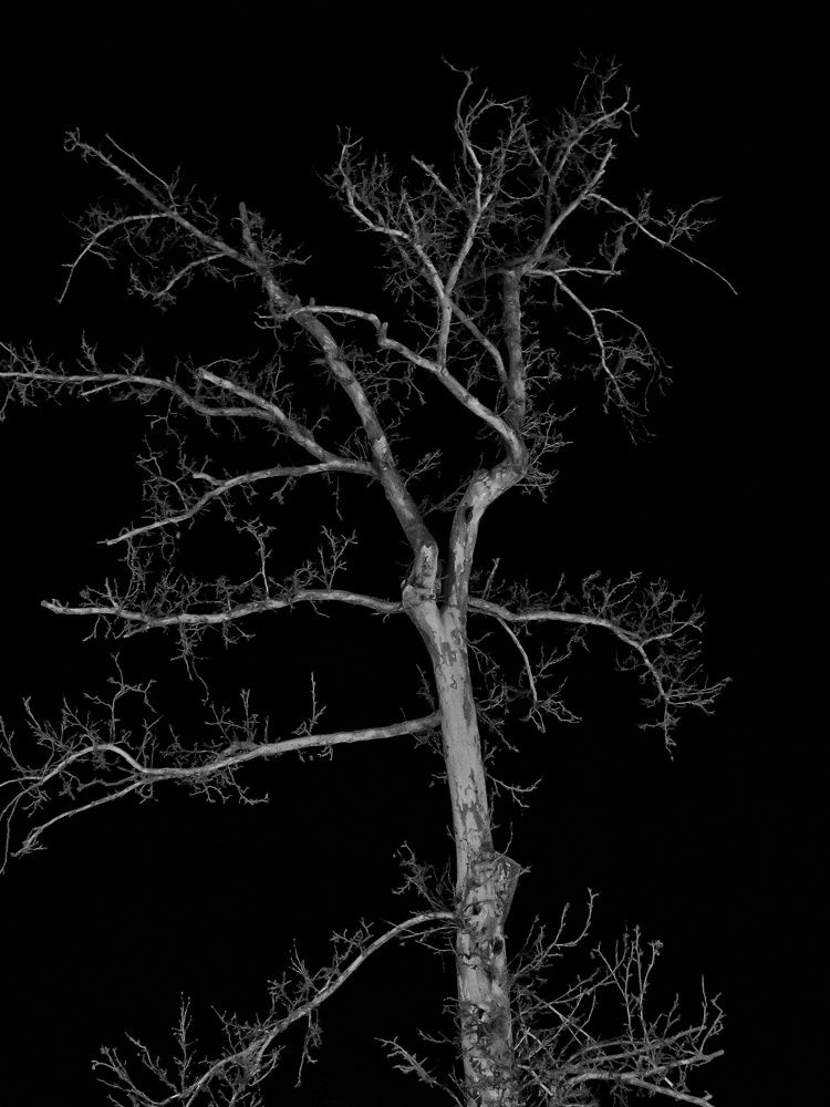 Фотография автора Mahdi Mohammadi