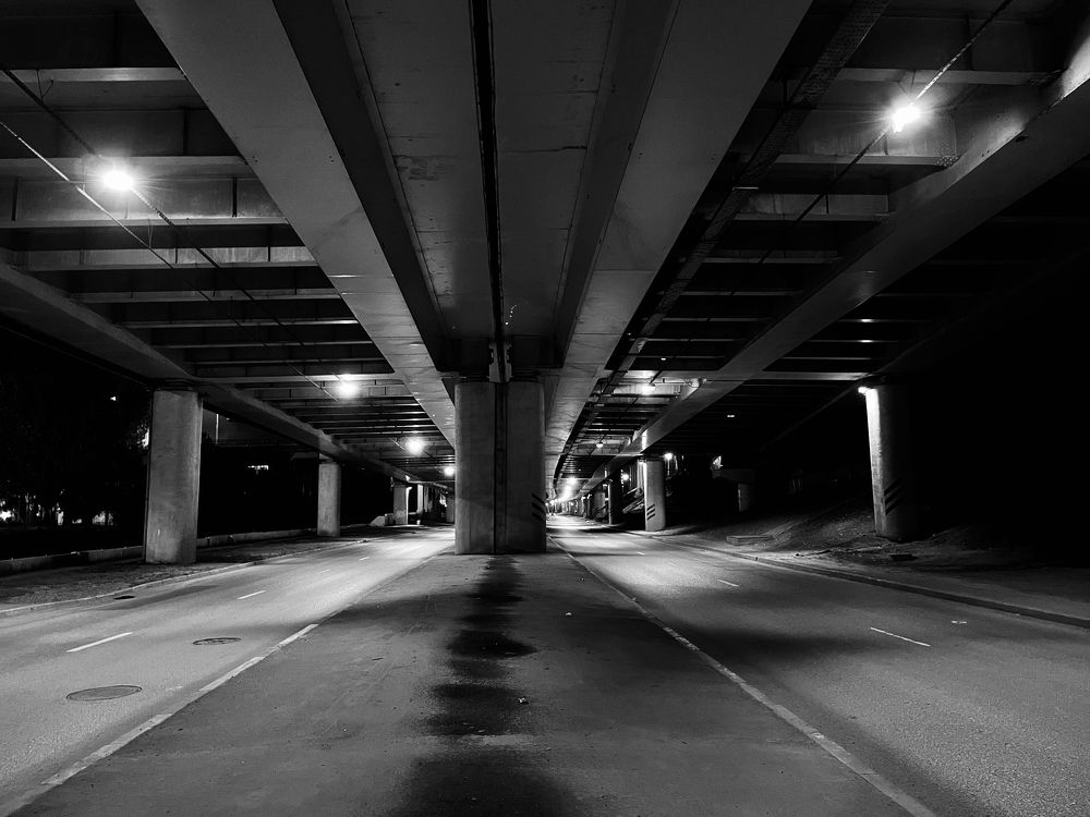 Photograph by Tatiana Teit Ash