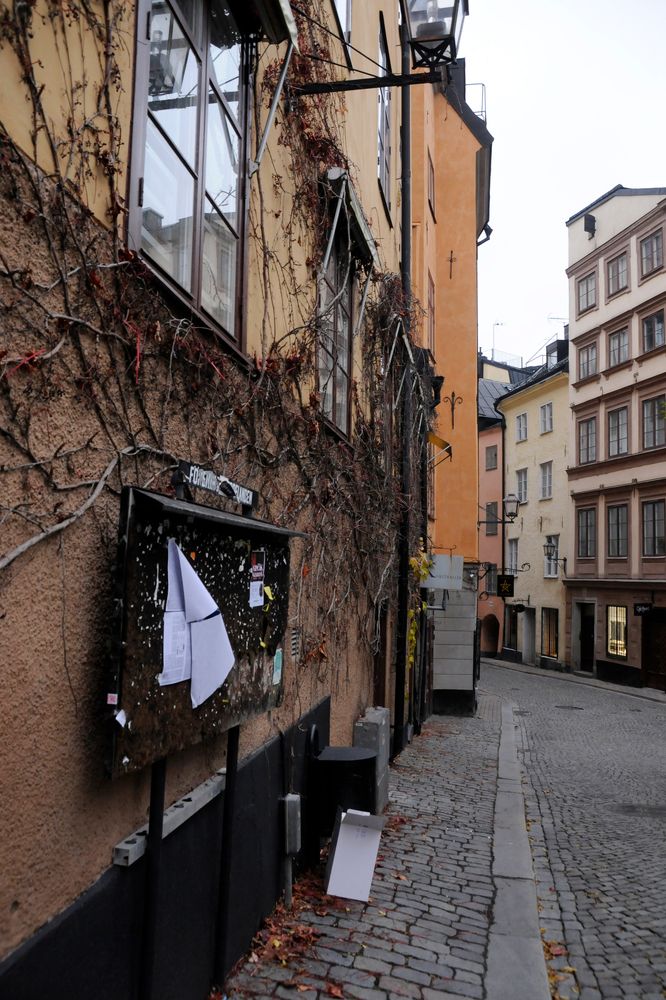 Photograph by Наталия Шинкевич