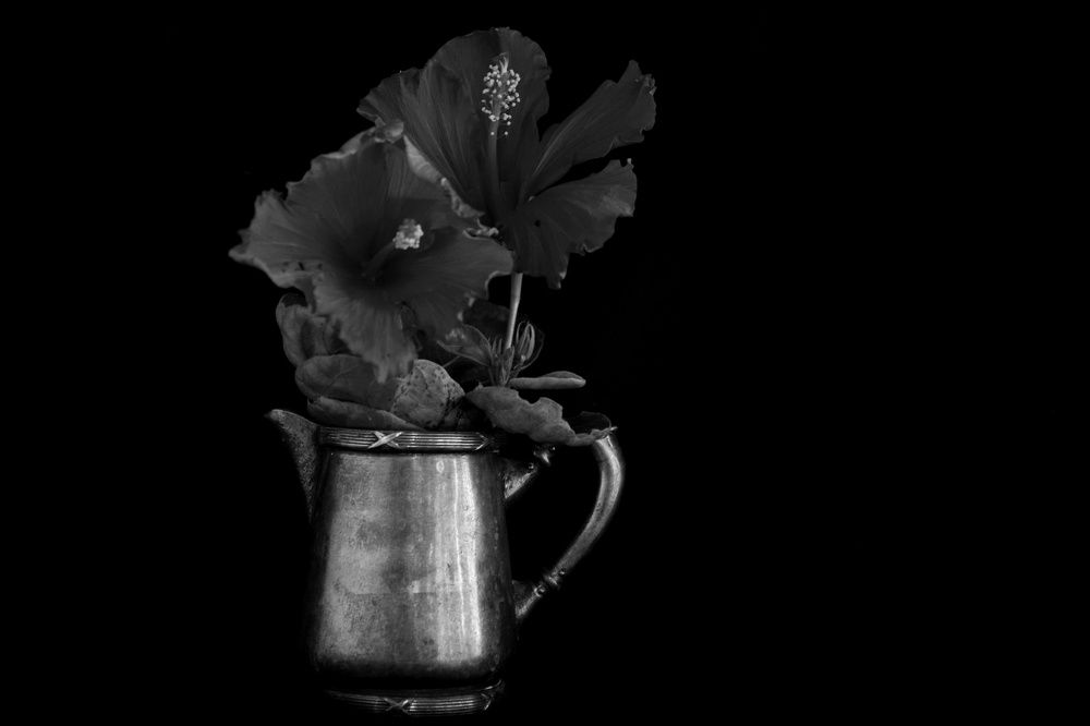 Photograph by Beatriz Games