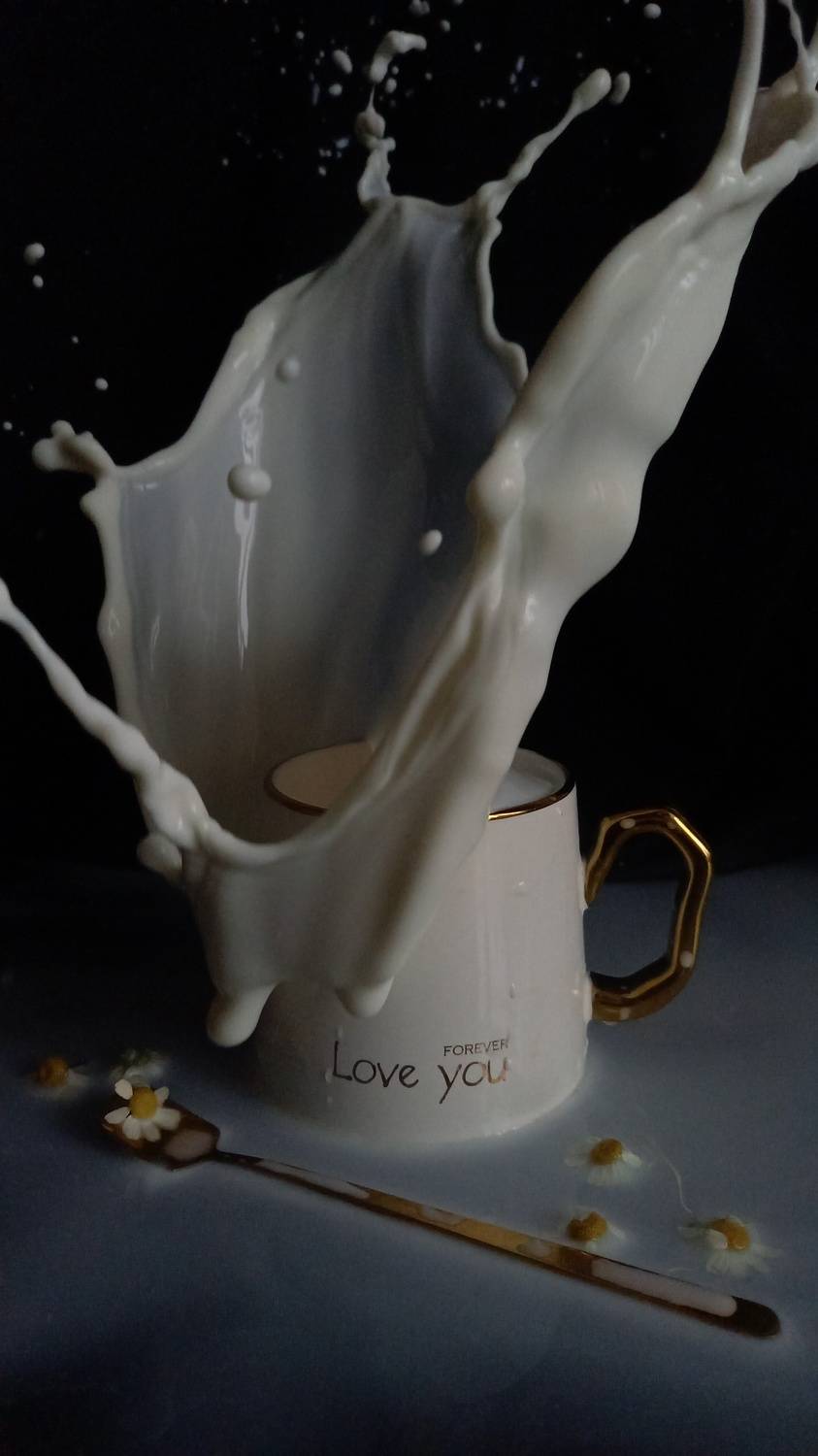 Photo #9529319