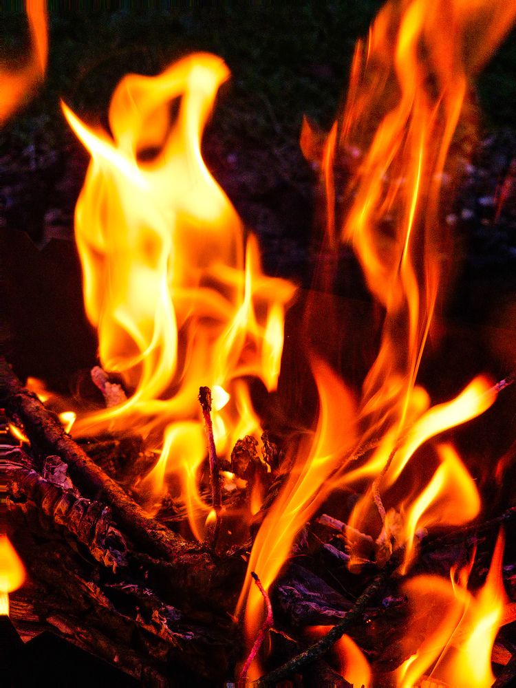 Photograph by Хельга Кольцова