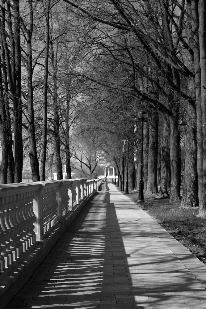 Photograph by Ирина Чиркина