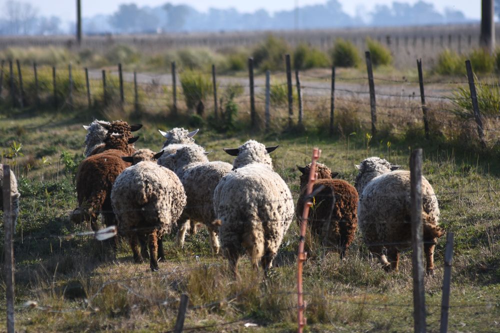 Photograph by Beatriz Games