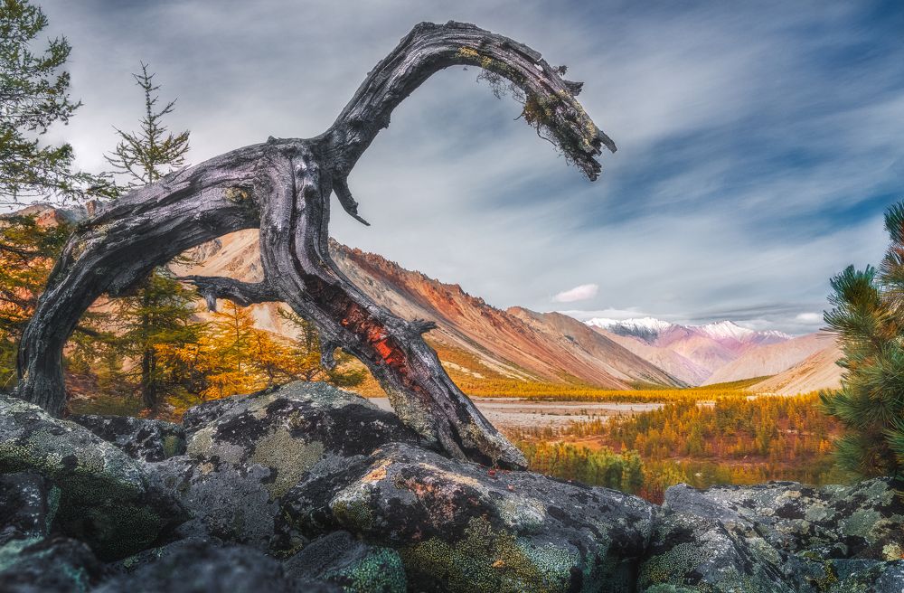 Photograph by Полякова Наталия