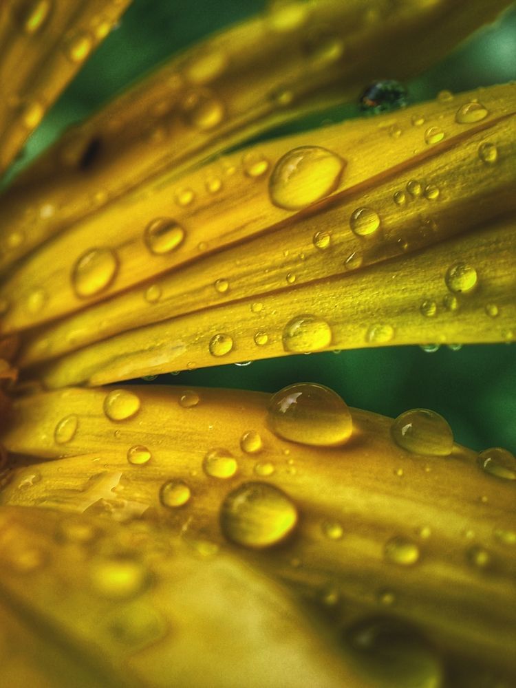 Photograph by Konstantin Martynov