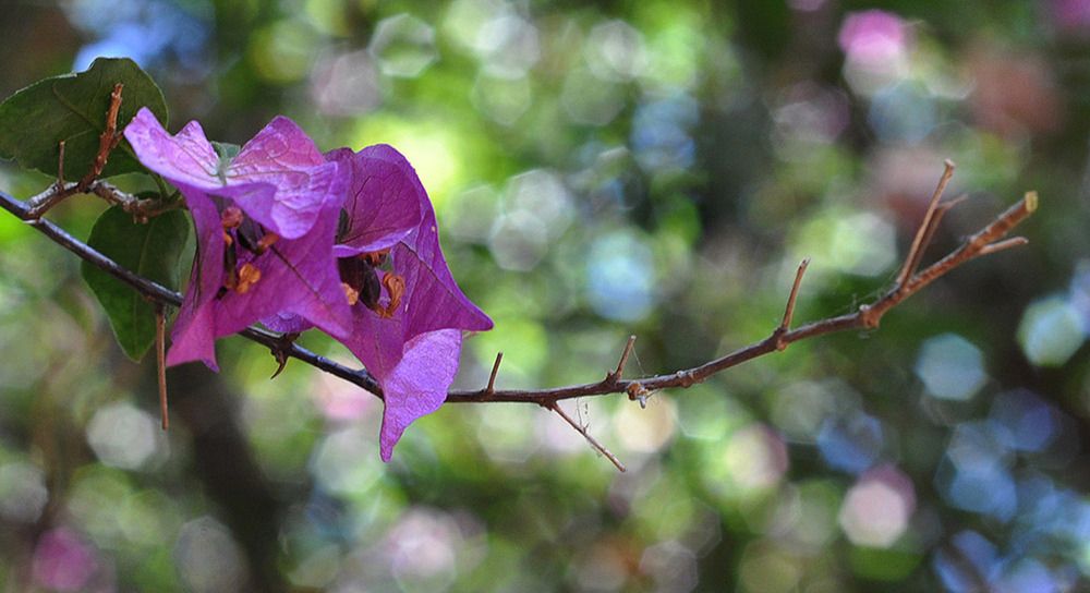 Photograph by Яков