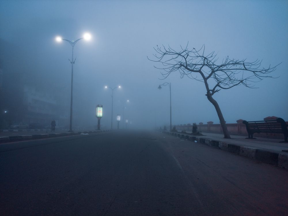 Photograph by Motaz Gohar