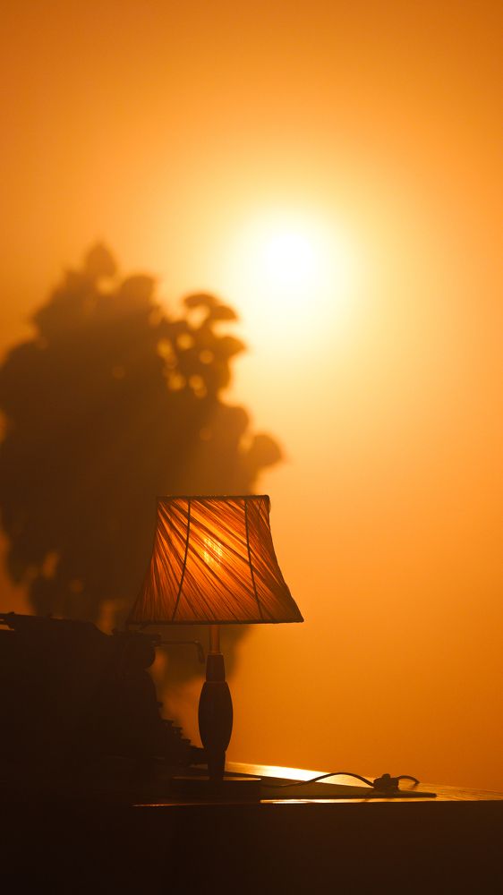 Photograph by Марлен Маан