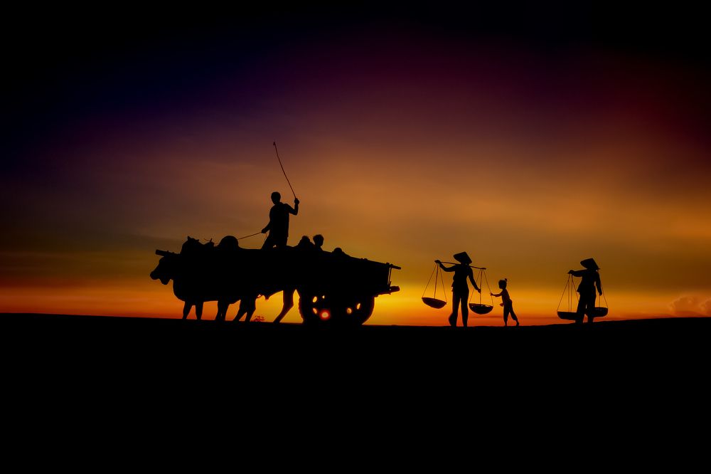 Photograph by Do Thi Thanh Binh