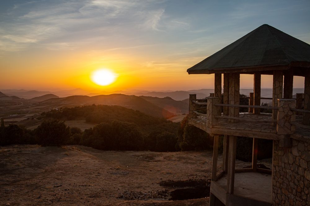 Photograph by Светлана Саиди