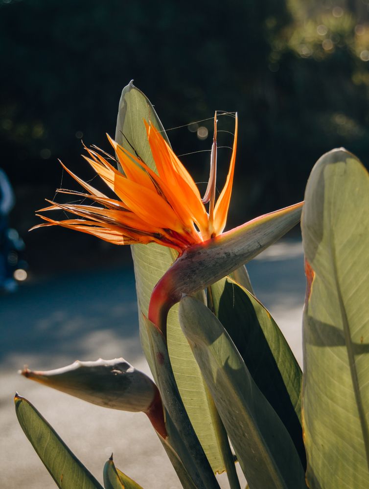 Photograph by Светлана Саиди