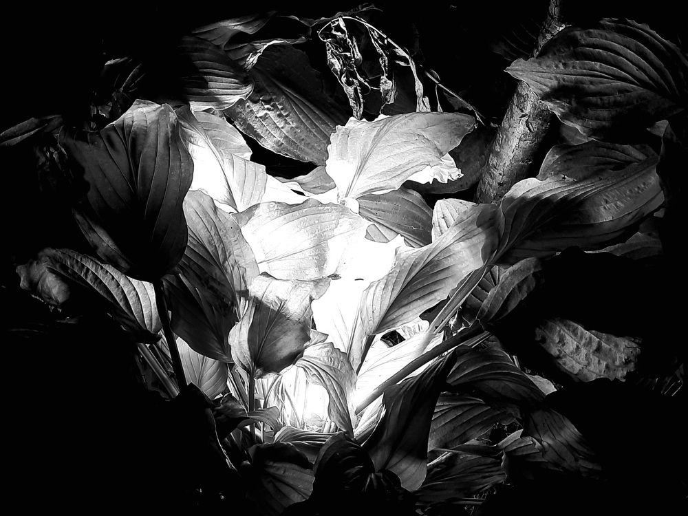 Photograph by Михаил Мироненко