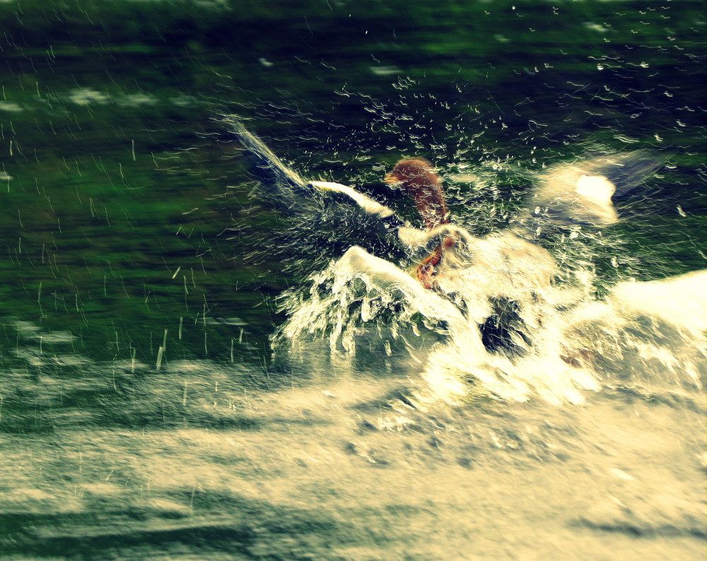 Photograph by Екатерина Филина