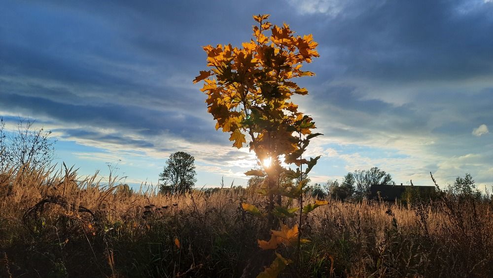 Photograph by Михаил Мироненко