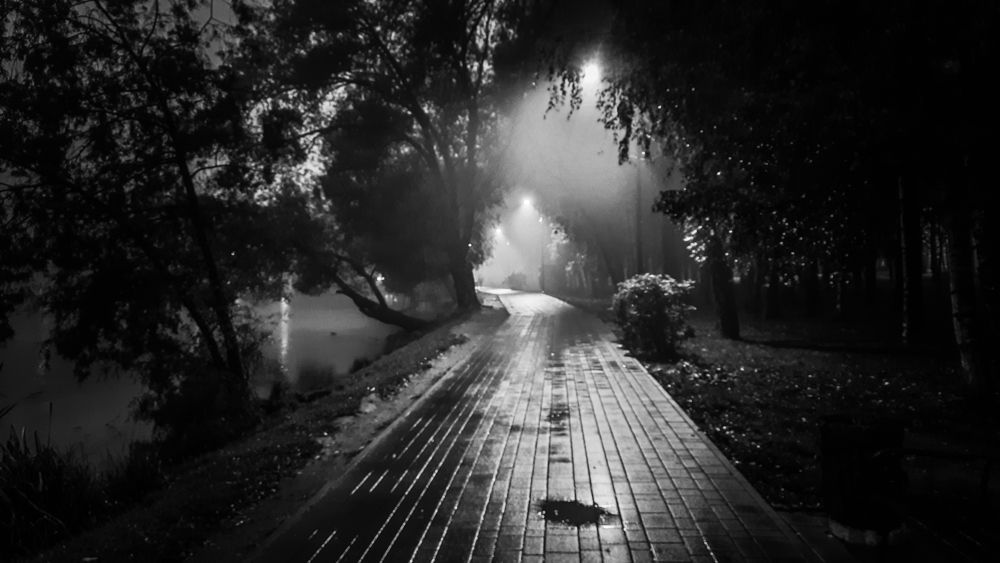 Photograph by Михаил Мироненко