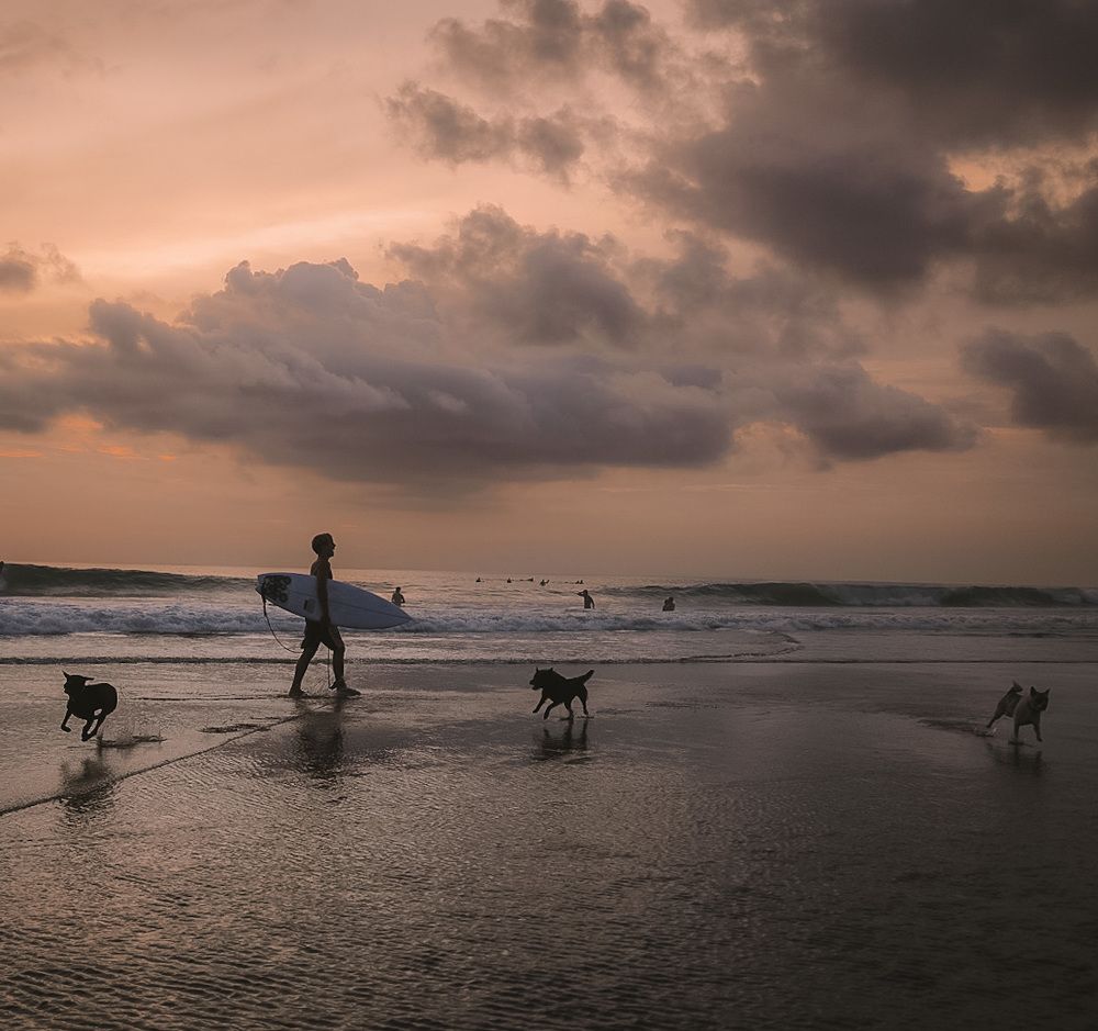 Фотография автора Омар Исмиев