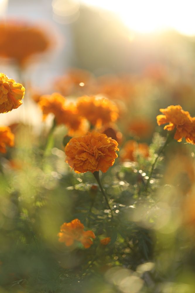 Photograph by Бальзирова Наталья