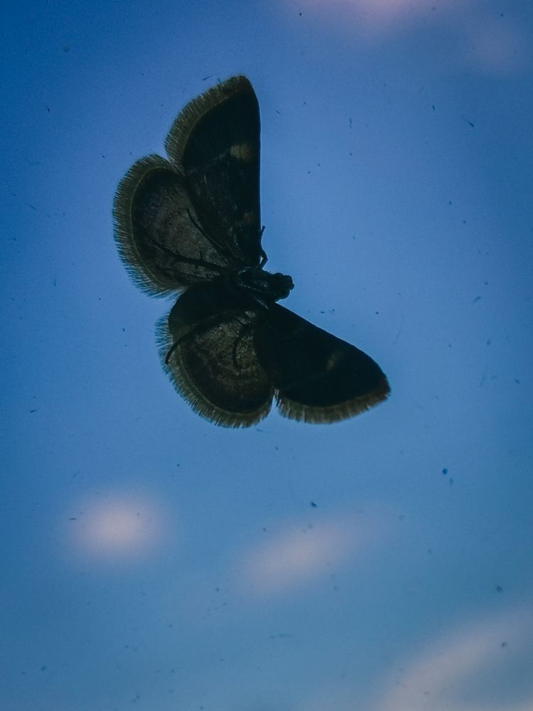 Photograph by Ольга Власова