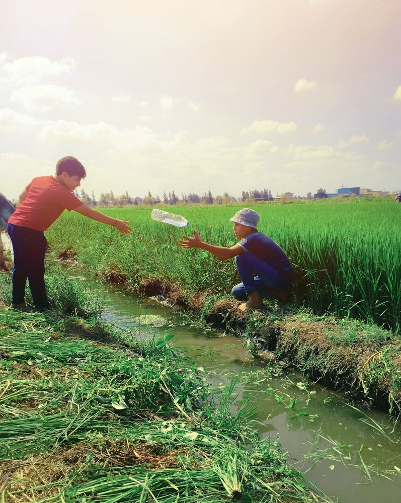 Photograph by Basant Sami