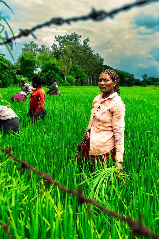 Фотография автора Arpit Dhore