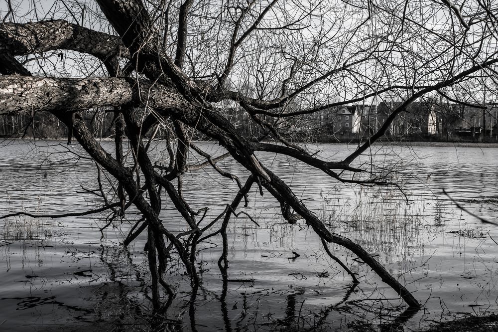 Photograph by Михаил Мироненко