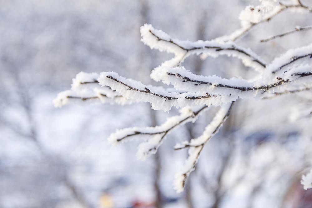 Photograph by Светлана Саиди