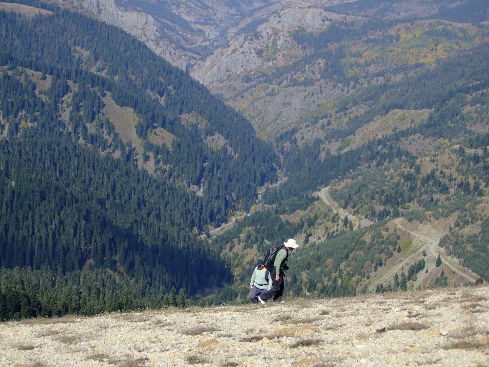 Photograph by Cengiz Yalcin