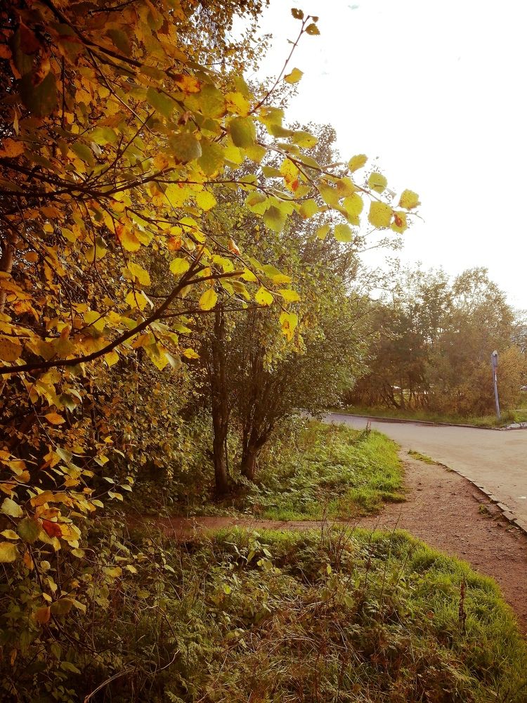 Фотография автора Татьяна Савранчук