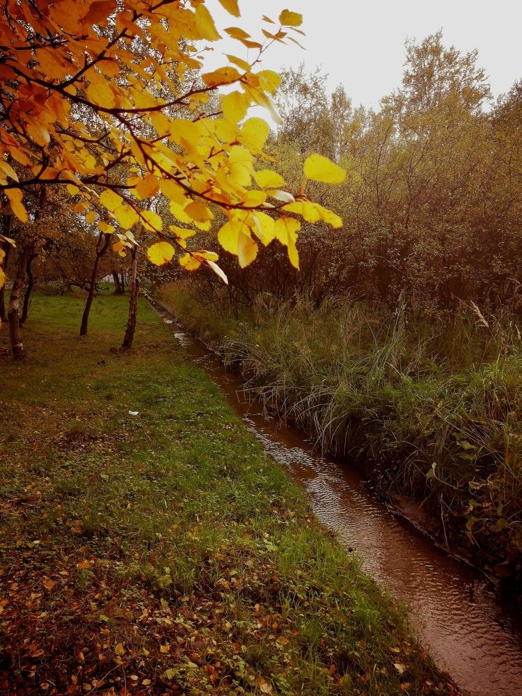 Фотография автора Татьяна Савранчук