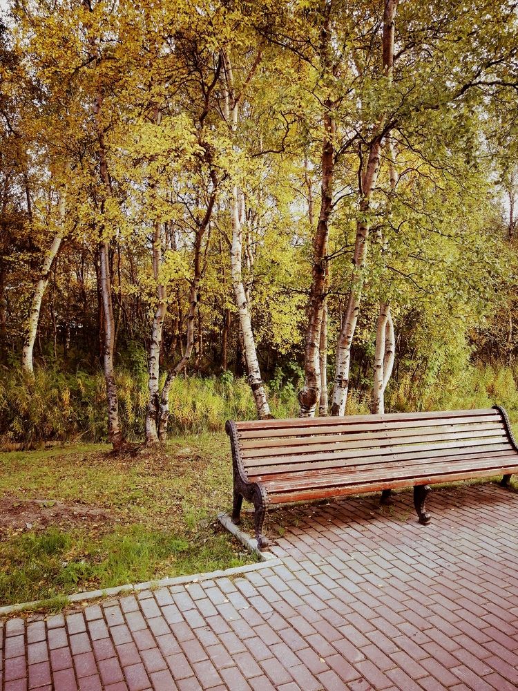 Фотография автора Татьяна Савранчук