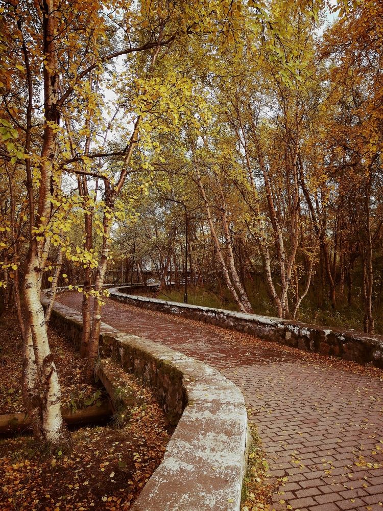 Фотография автора Татьяна Савранчук