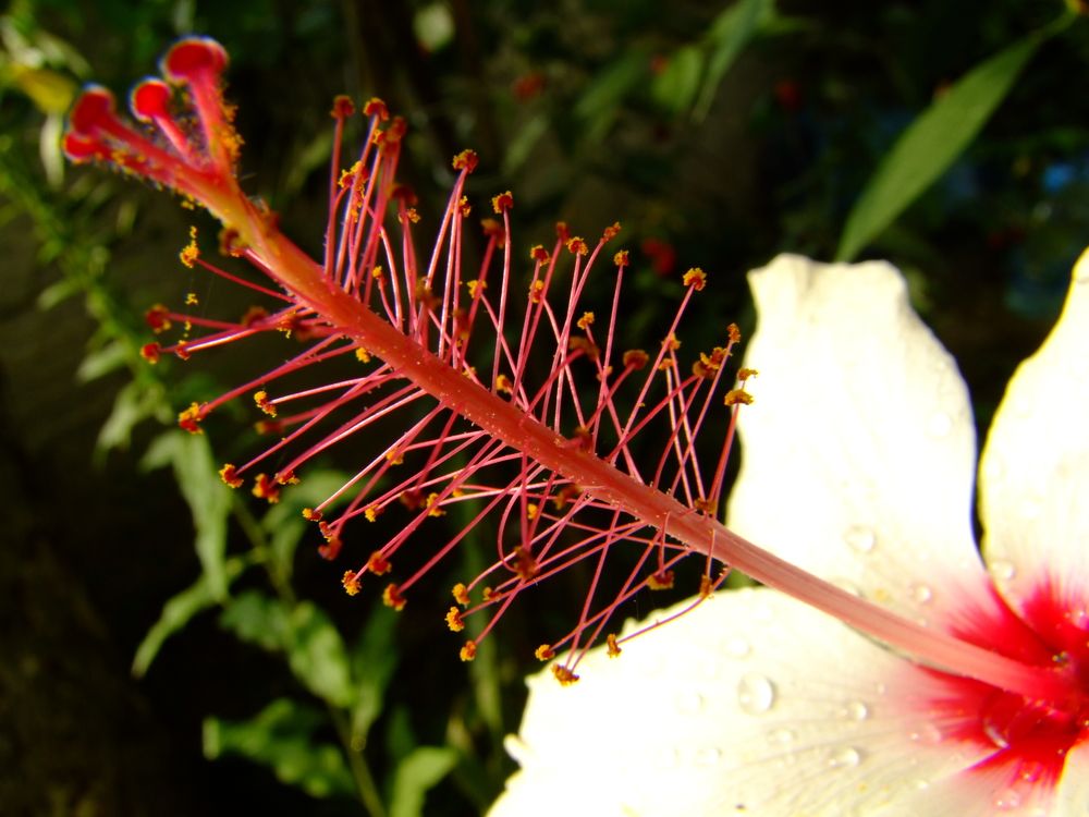 Photograph by Cengiz Yalcin