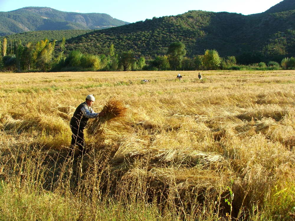Photograph by Cengiz Yalcin