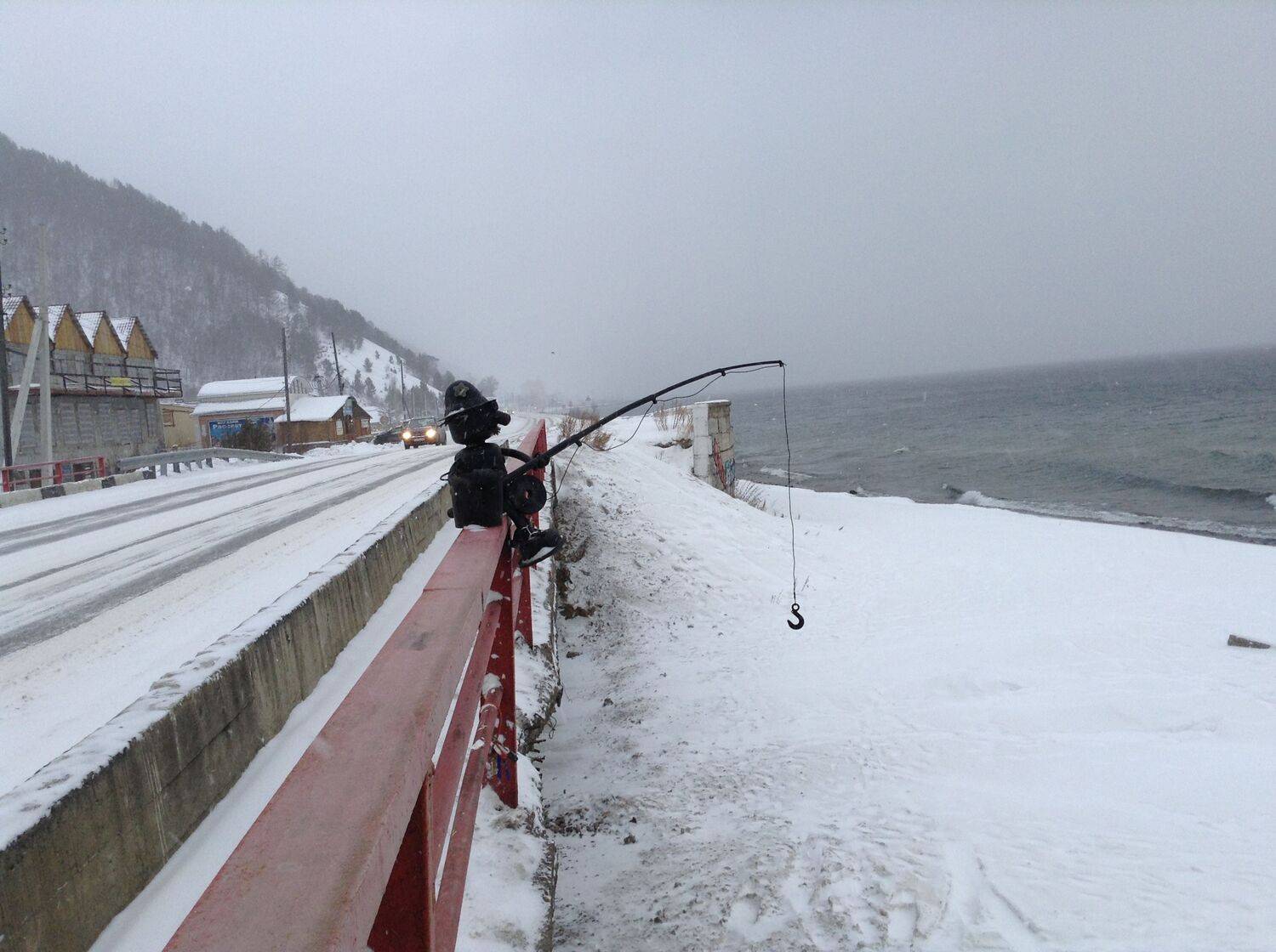 Photo #9529726